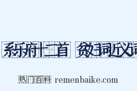 系乐府十二首·贫妇词近义词是什么意思的图片